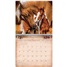 Horses 2026 Wall Calendar WCA104434